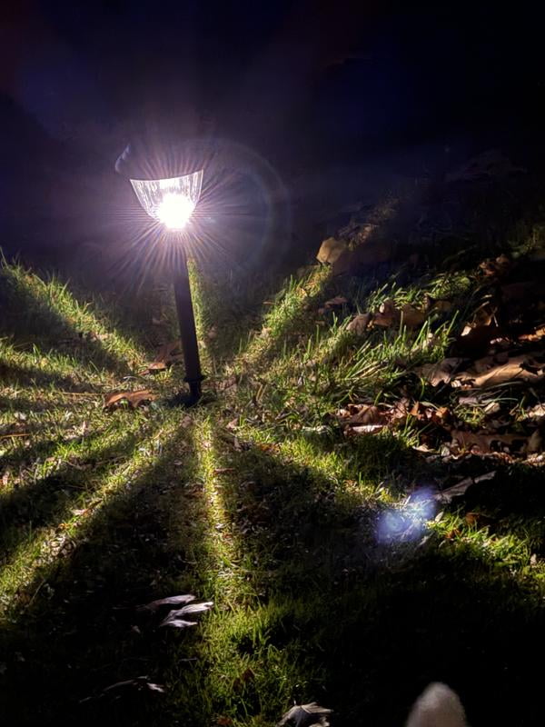 Member's Mark LED Solar Path Lights, 20 Lumens, 4-Pack - Samsclub.com