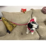 Image 6 of customer photos