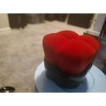 Image 3 of customer photos