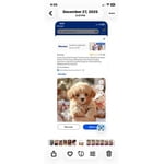 Image 7 of customer photos