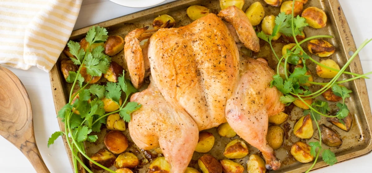 Spatchcocked roast chicken and potatoes with cilantro yogurt sauce