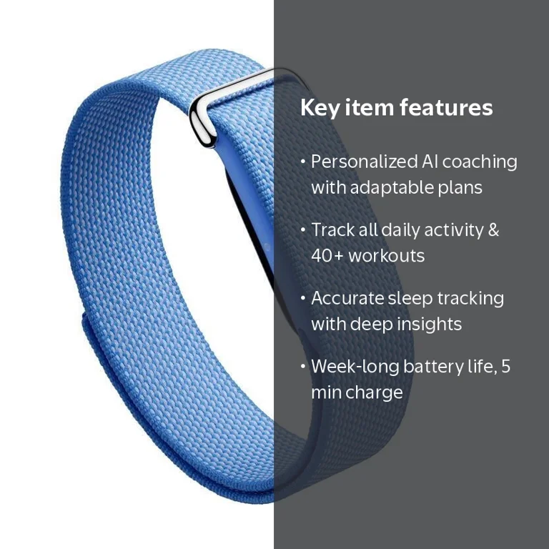 Google Fitbit Air - Screenless Fitness and Health Tracker