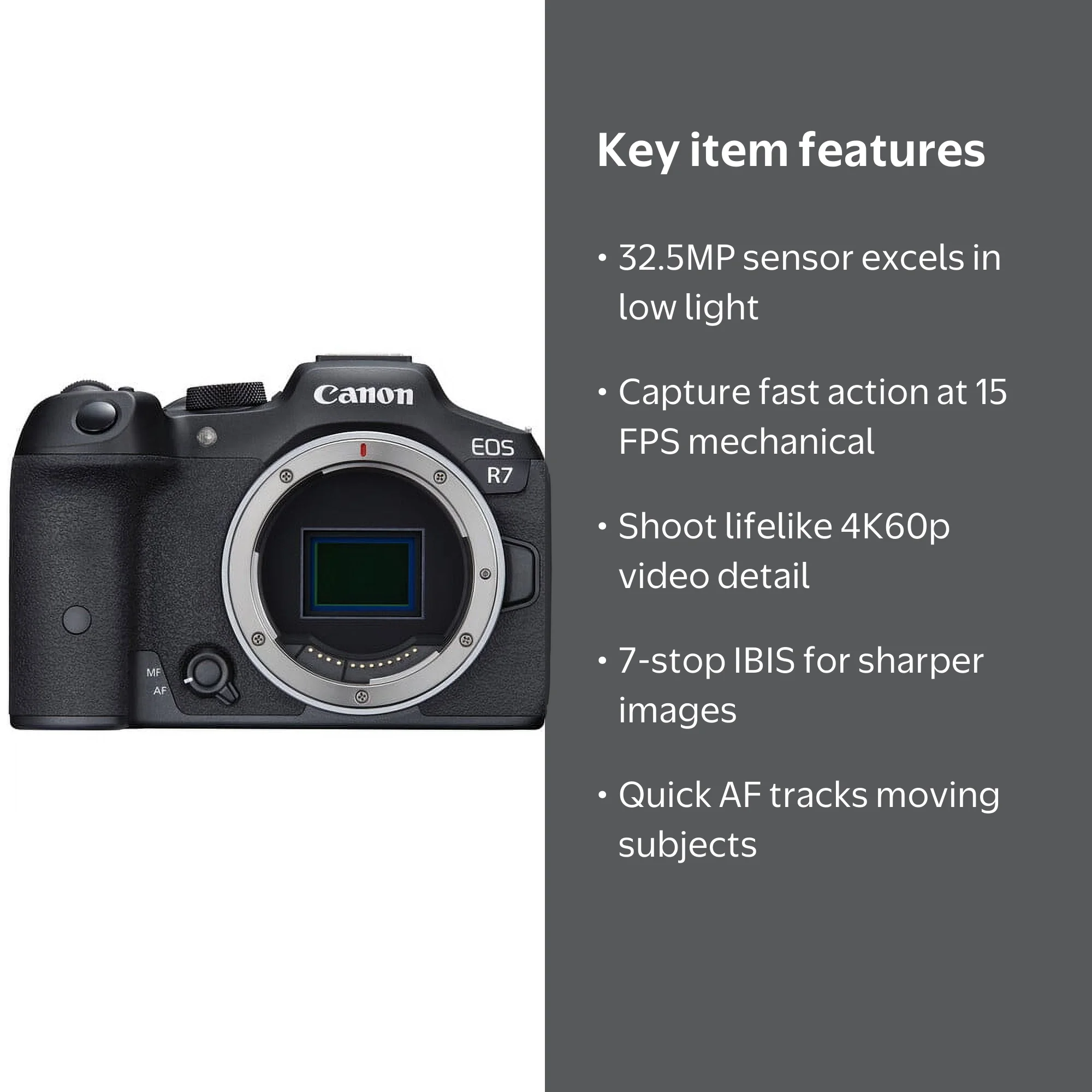 Canon EOS R7 32.5 Megapixel Mirrorless Camera Body Only Black