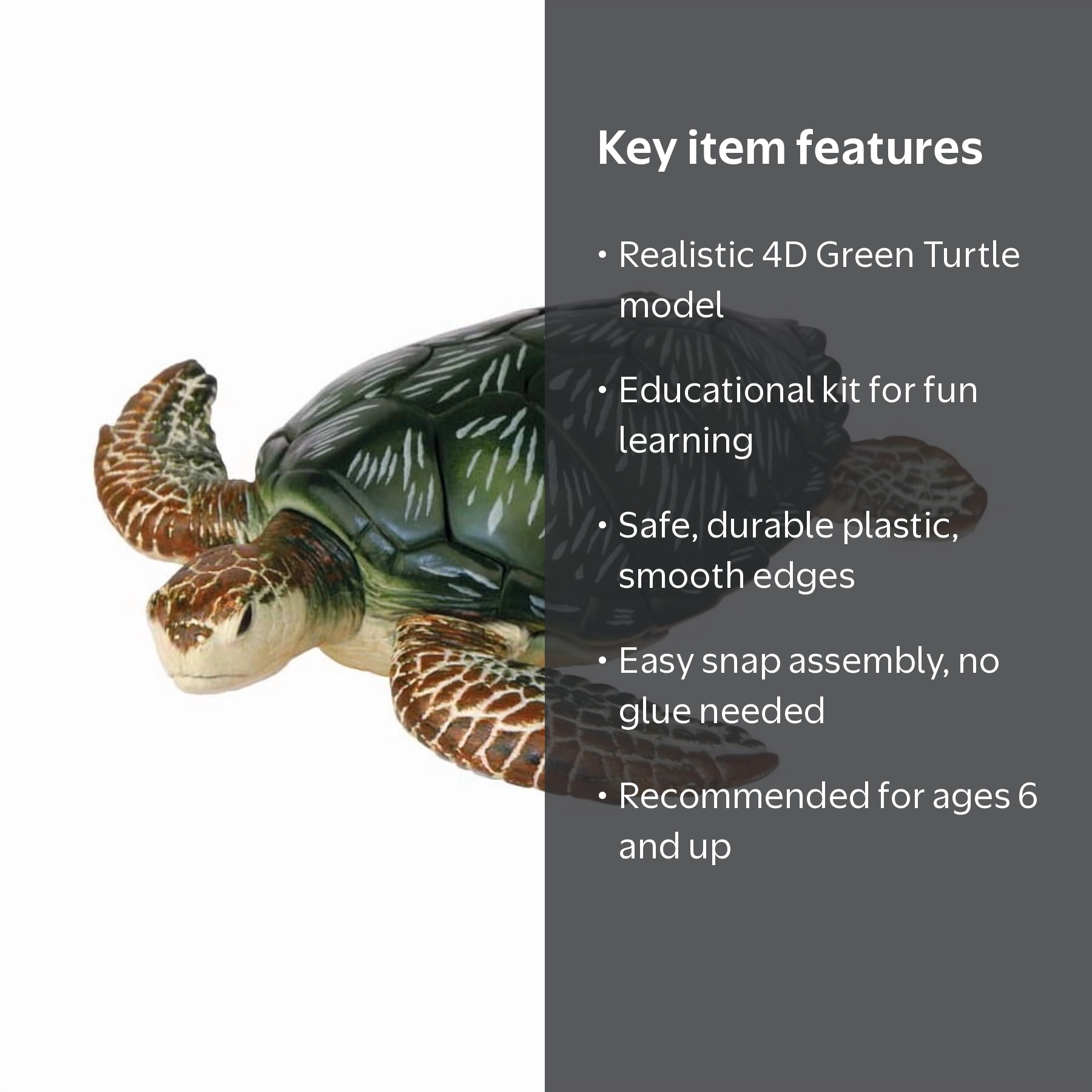 Intellijel Tetrapad+Têteセット　上代11.3万 4D Master 4D Puzzle - Green Turtle: 22 Pcs - Walmart.com