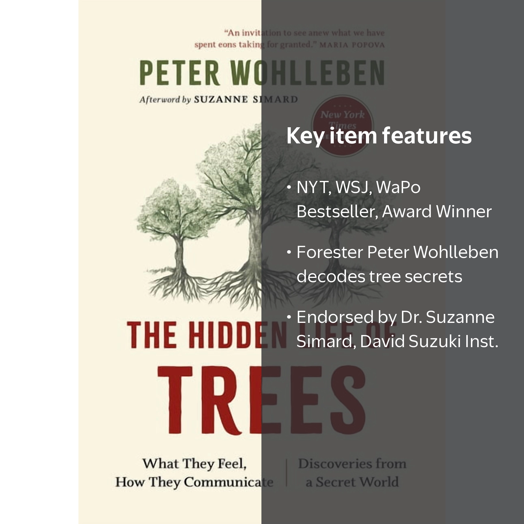 Peter Wohlleben, Book, The Hidden Life of Trees, Social Networks