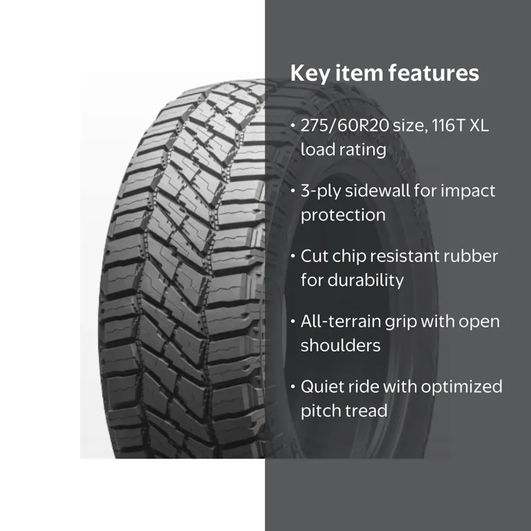ロストラータ Milestar Patagonia X/T 275/60R20 116T XL All Terrain Light Truck