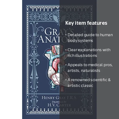 Gray's Anatomy (Barnes & Noble Collectible Classics: Omnibus