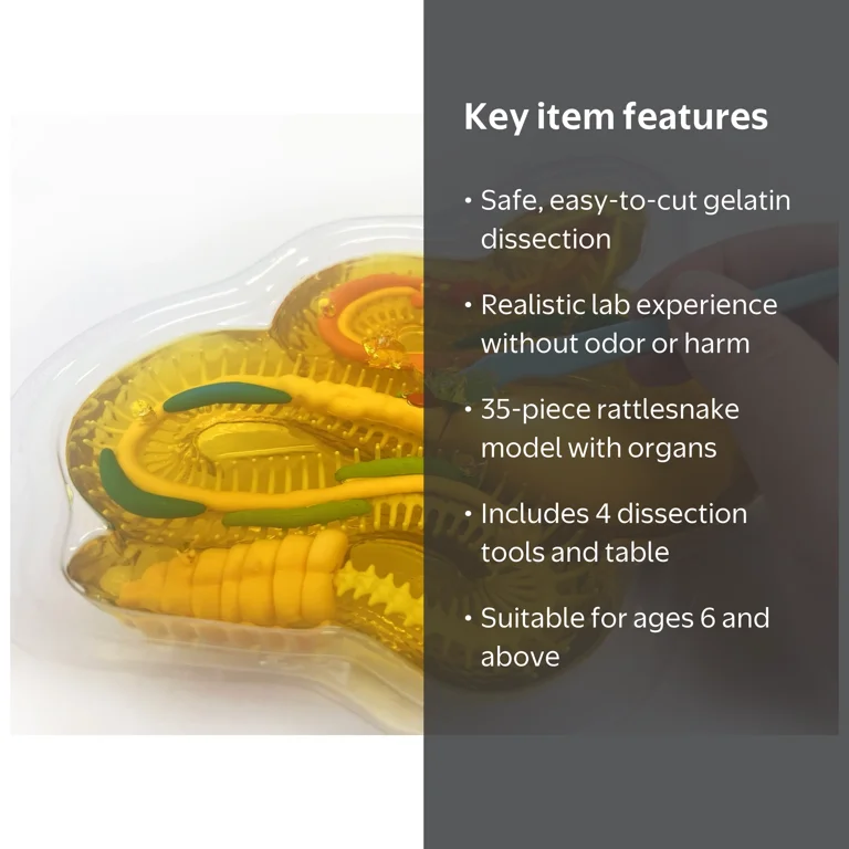 Dissect It Rattlesnake Superlab Dissection Kit for Kids - Science