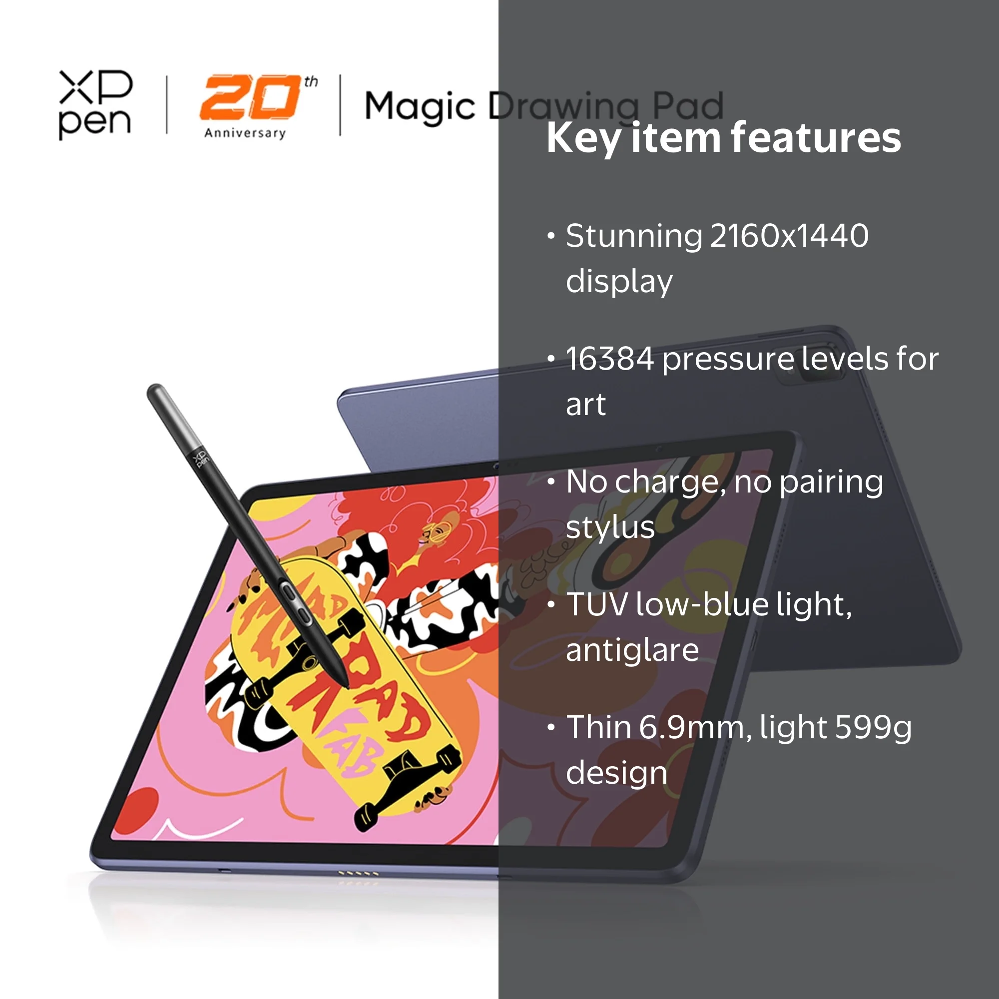 XPPen 12.2
