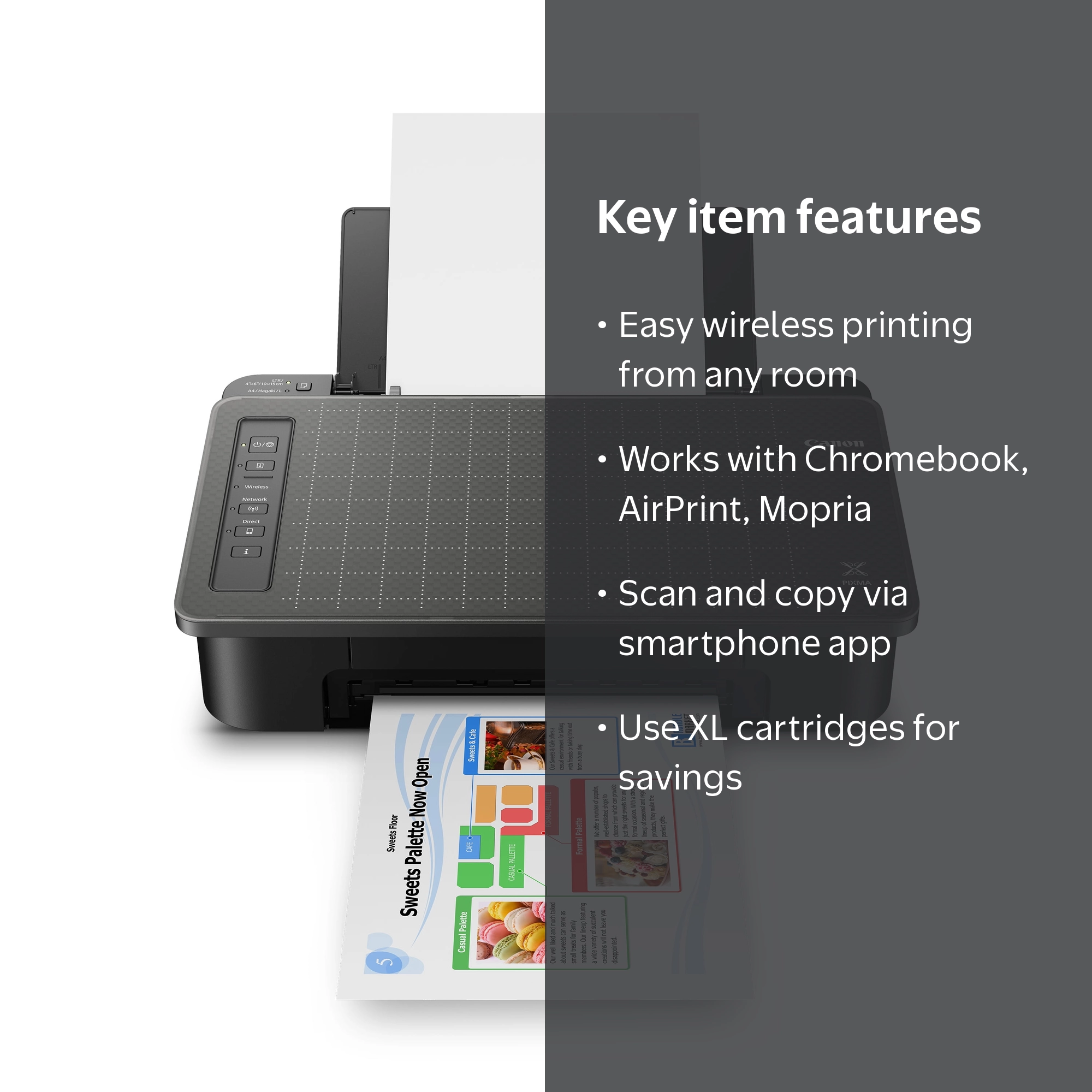 Canon, Wireless Inkjet Printer, PIXMA TS302a, Compatible with Wi