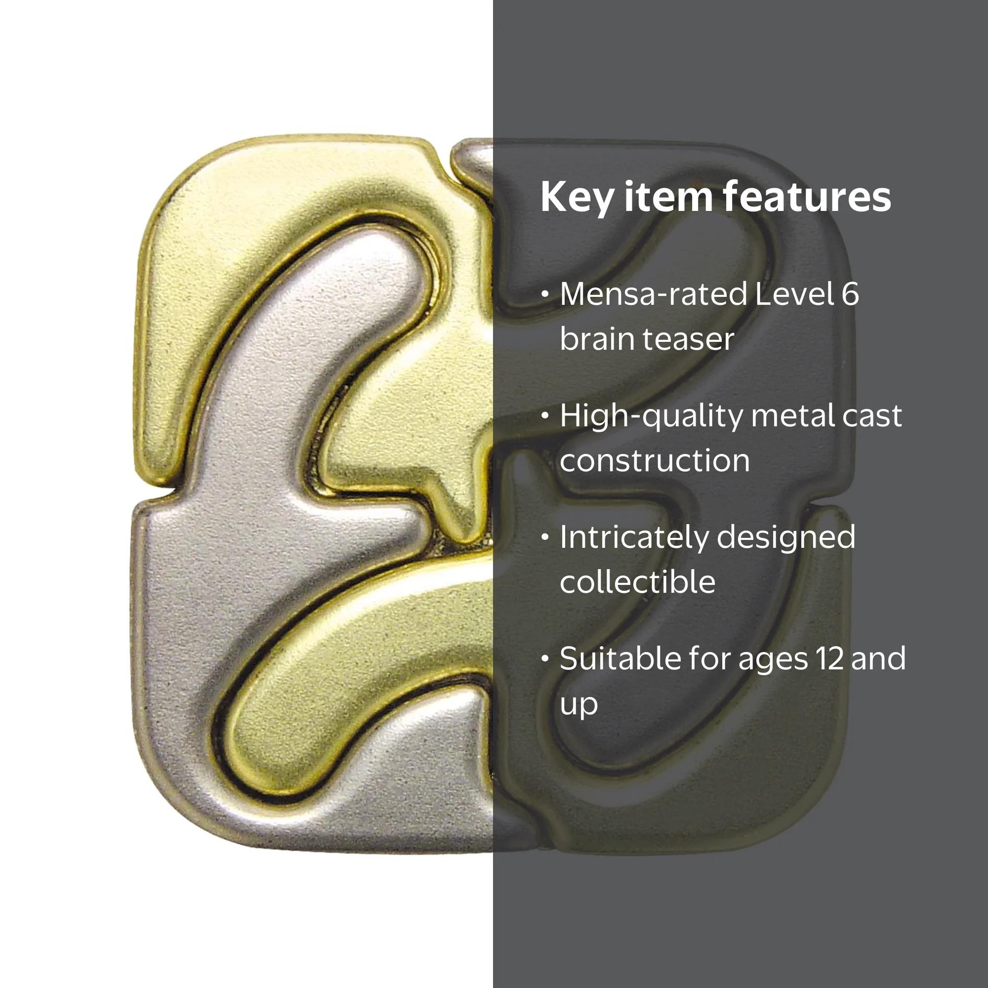 BePuzzled, Square Hanayama Metal Brainteaser Puzzle Level 6 Ages