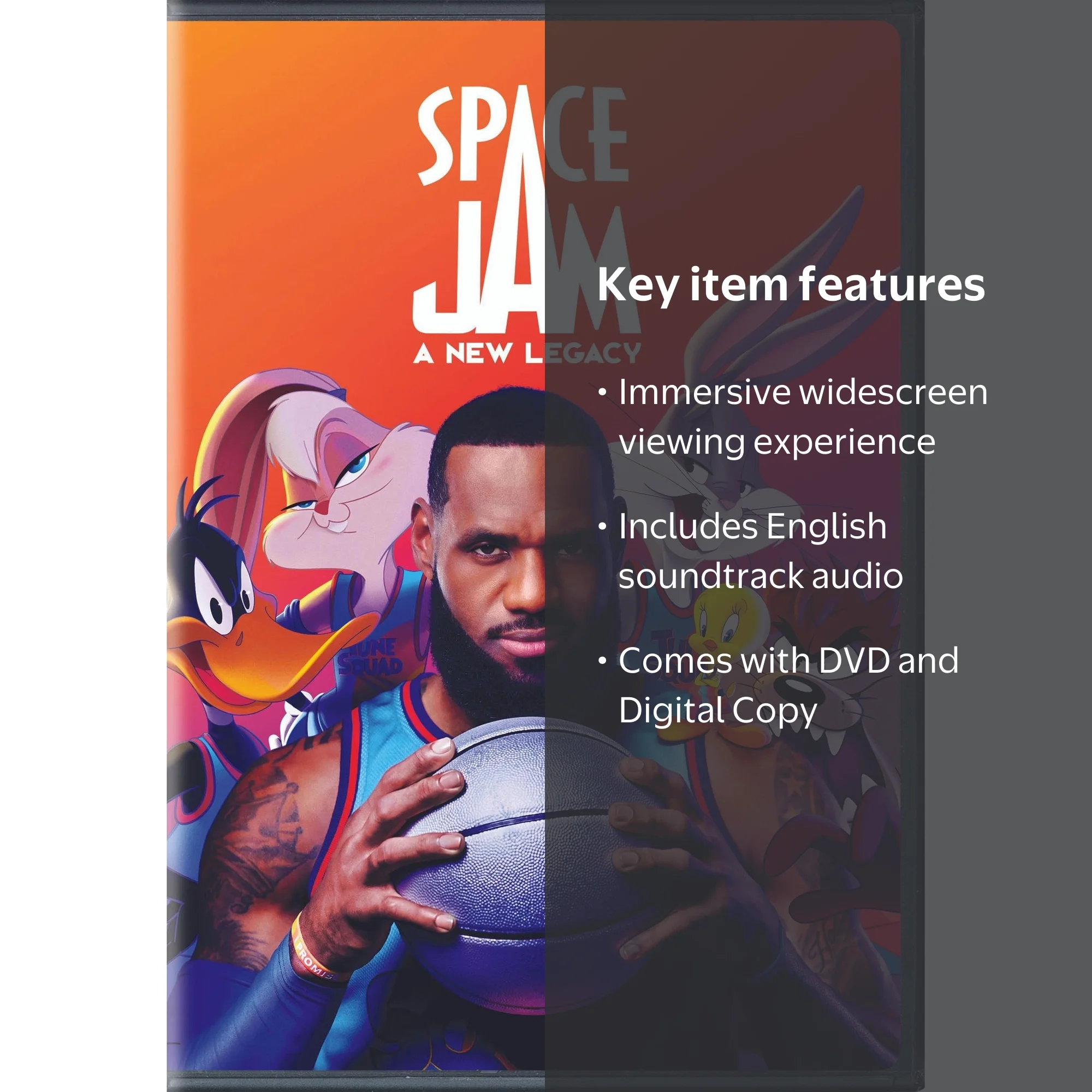 Space Jam: A New Legacy DVD - LeBron James & Tune Squad Adventure