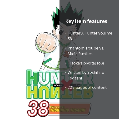 Yoshihiro Togashi, Hunter X Hunter Manga, Vol. 38, Paperback