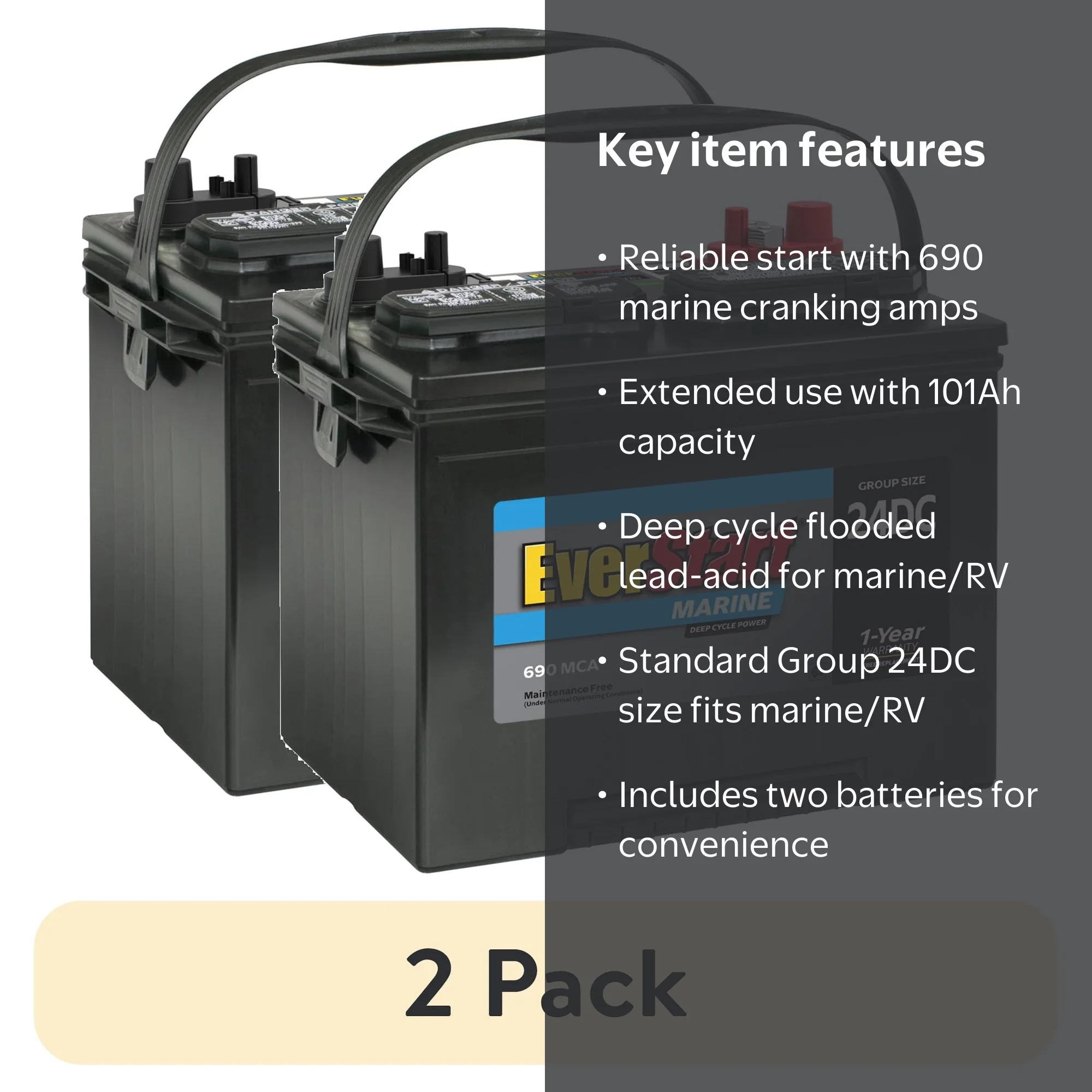 2 pack) EverStart Lead Acid Marine & RV Deep Cycle Battery, Group
