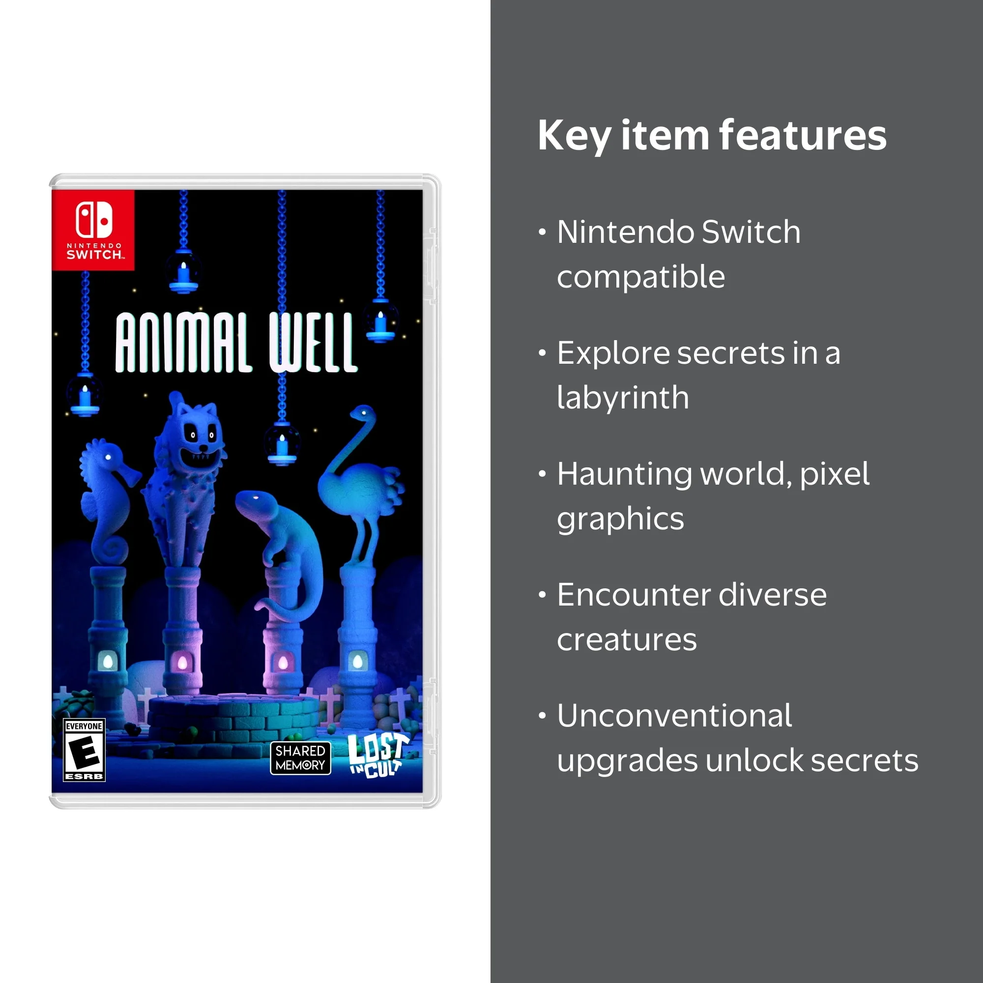 Animal Well for Nintendo Switch - Walmart.com