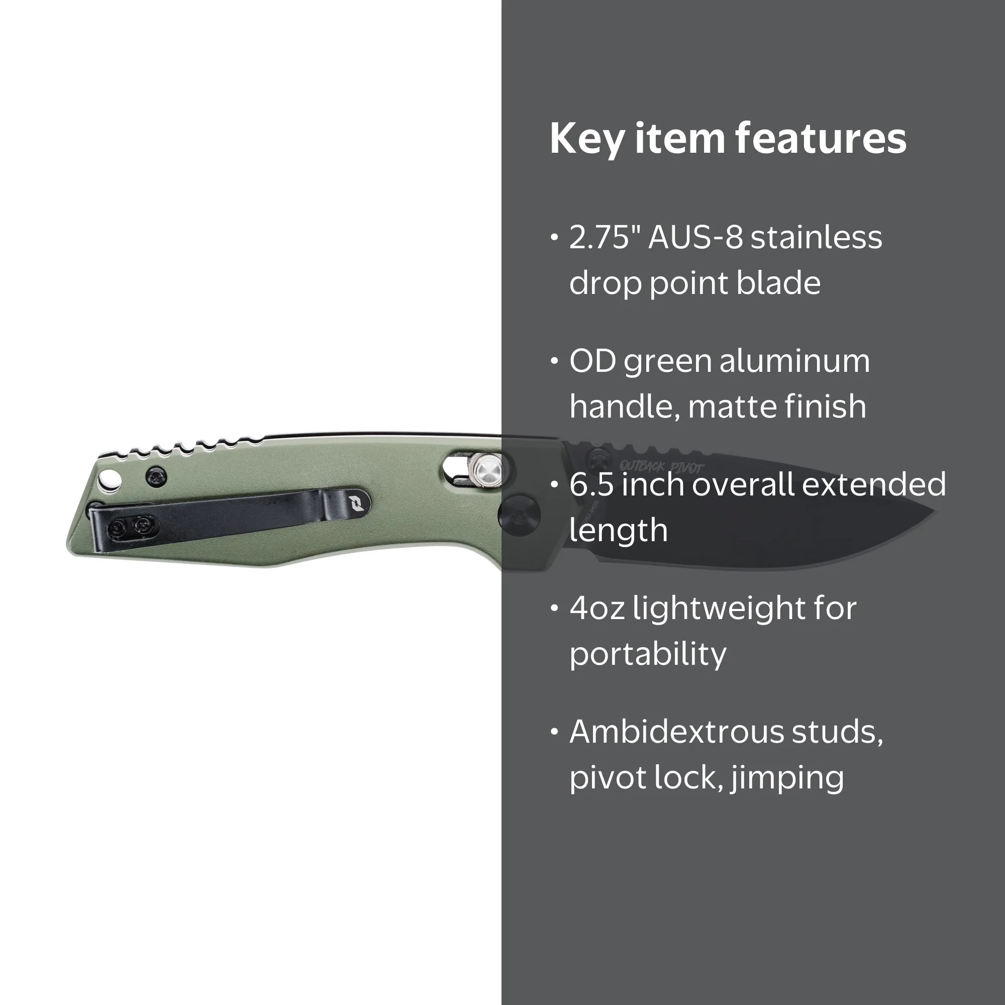Schrade Outback Pivot Lock Folder Aus-8 Stainless Steel Blade