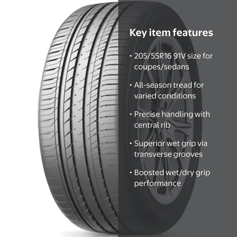 TBB TR-66 Performance Passenger Tire, All Season P205/55R16 91V