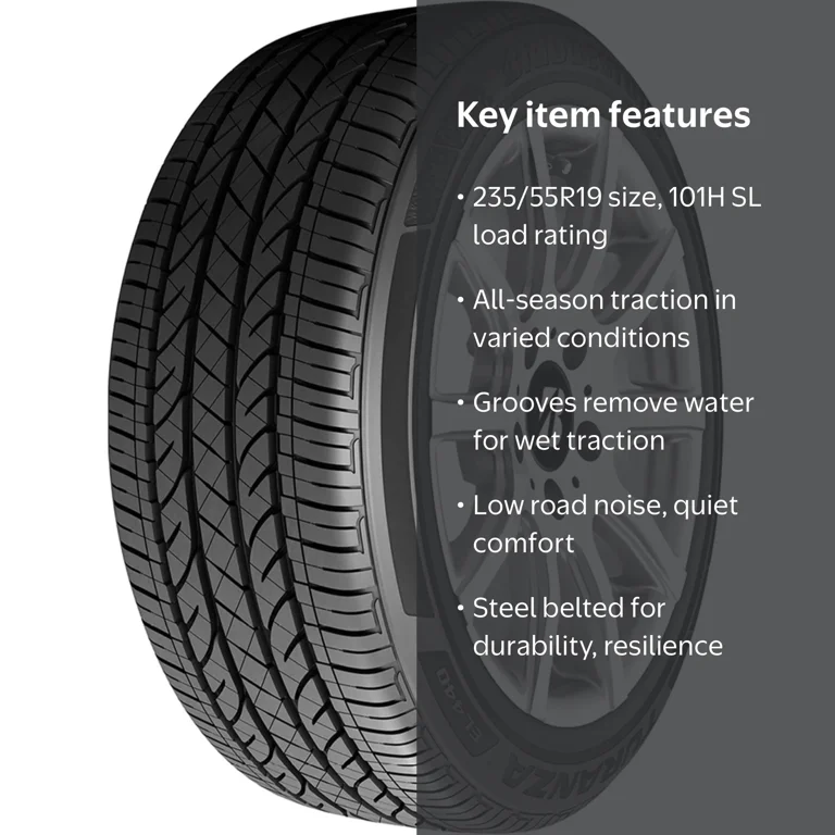 Bridgestone Turanza EL440 235/55R19 101H All-Season Tire for 2010