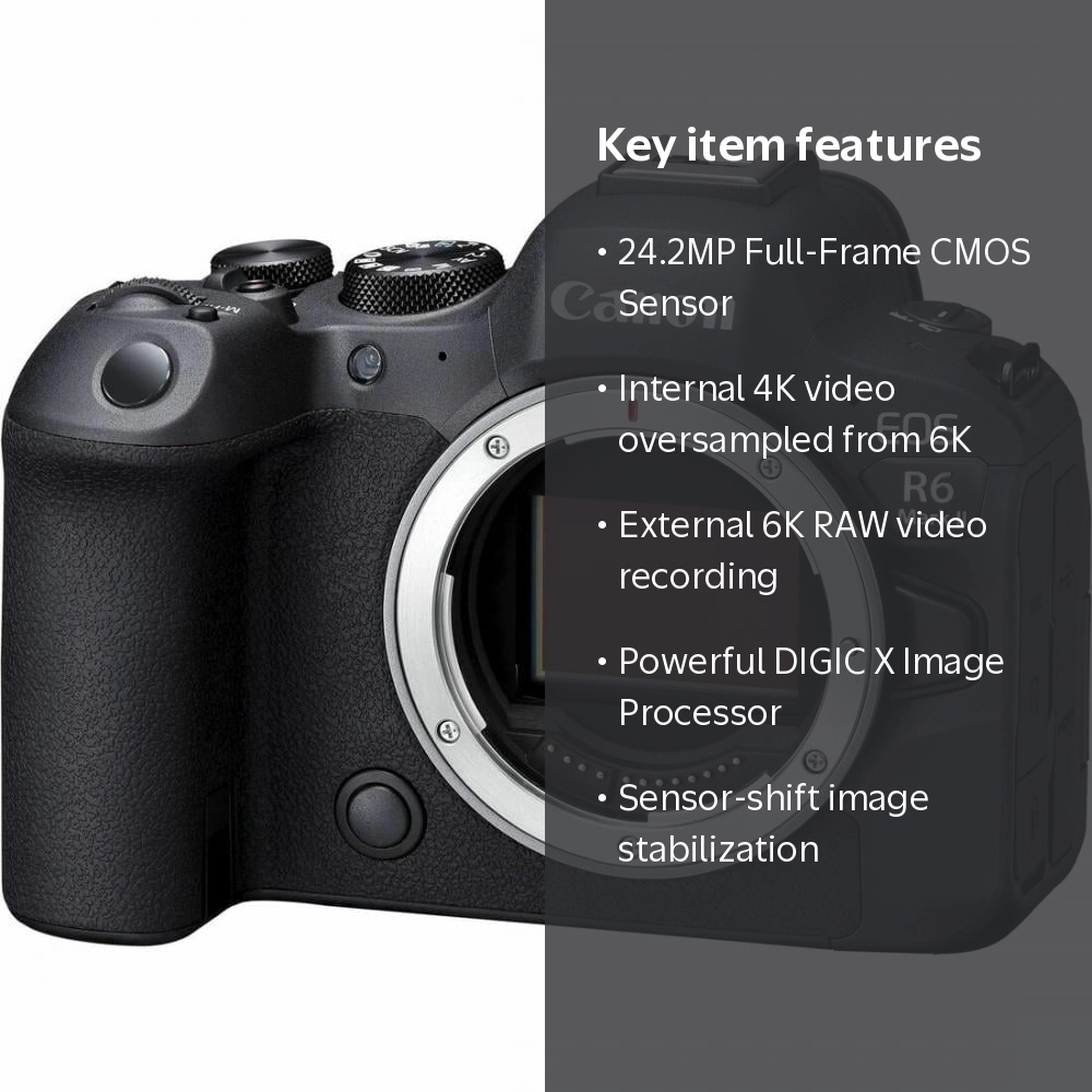 Canon, Mirrorless Camera, 24.2 Megapixel Full Frame Sensor