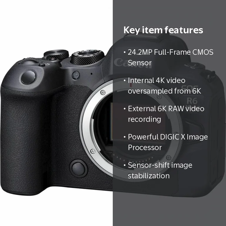 Canon, Mirrorless Camera, 24.2 Megapixel Full Frame Sensor