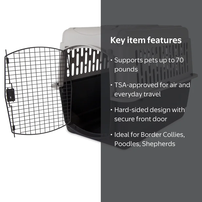 Vibrant Life Medium/Large Plastic Hard-Sided Pet Carrier, Black