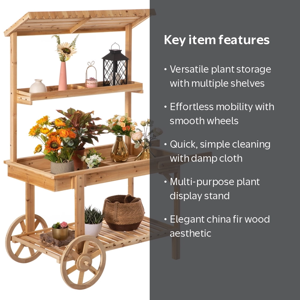 Vintiquewise Antique Solid Wood Decor Display Rack Cart, 52.5