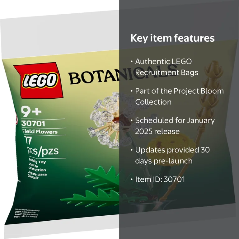 LEGO Recruitment Bags, Jan 2025 Launch, Updates Coming, Product