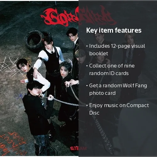 &TEAM Go in Blind CD 通常版 19枚セット &Team - Go In Blind - Regular Edition - Music & Performance - CD