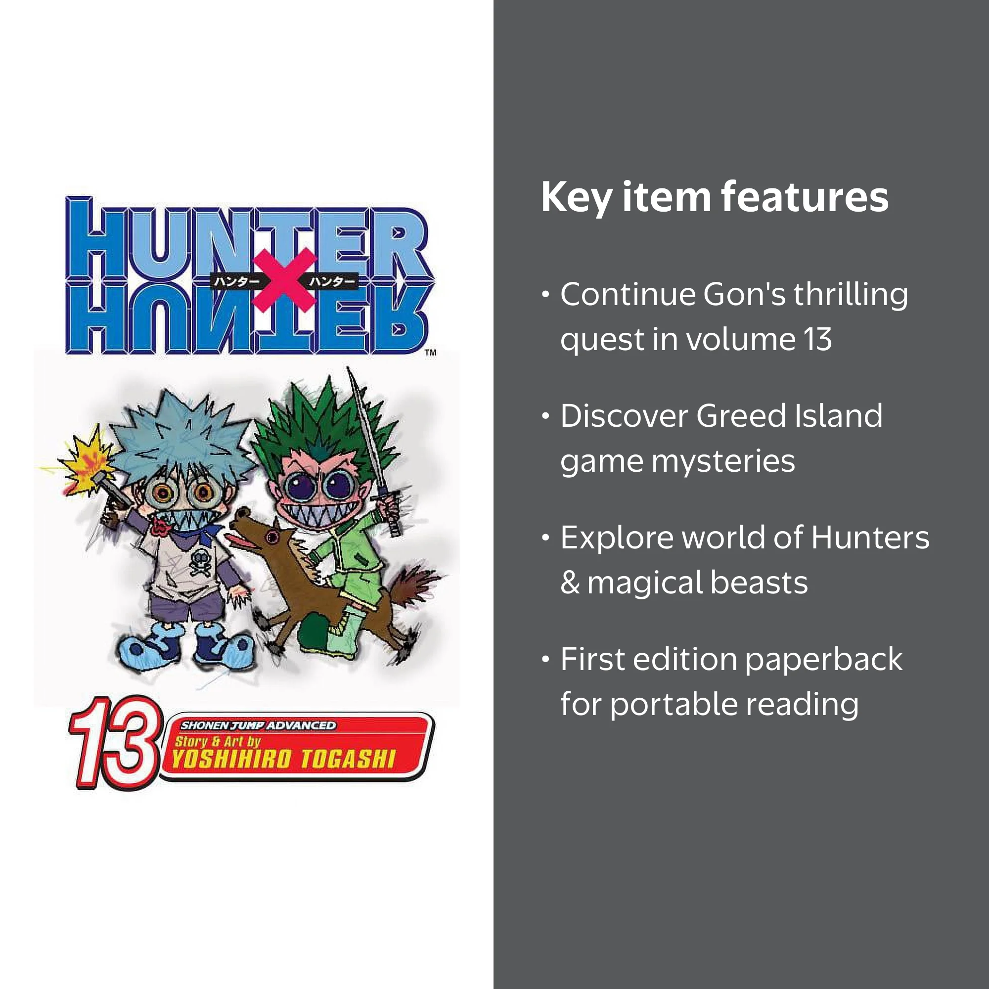 Hunter X Hunter: Hunter x Hunter, Vol. 13 (Series #13) (Edition 1
