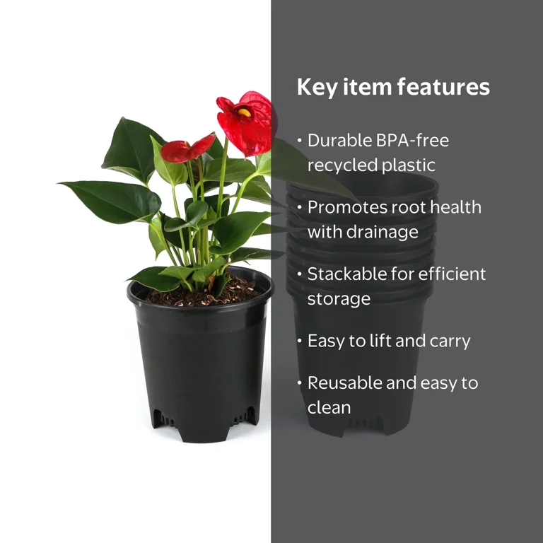 plant nursery klow prices 5.5 Inch Gardening Flower Pots 10-Pack Black Pot Liners 0.5 Gallon Pot Plastic Planters for Outdoor Indoor Plants a perfect Lowe's Coleus in 4-Pack Tray