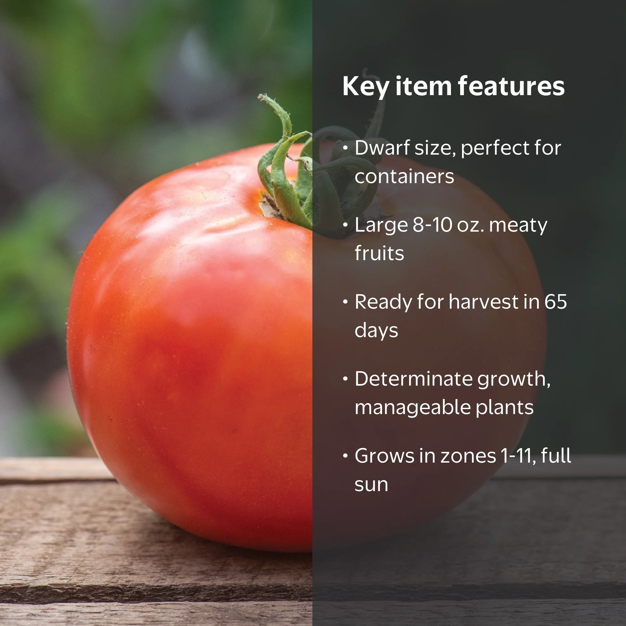 Burpee BushSteak Hybrid Tomato Vegetable Seed, 1-Pack - Walmart.com