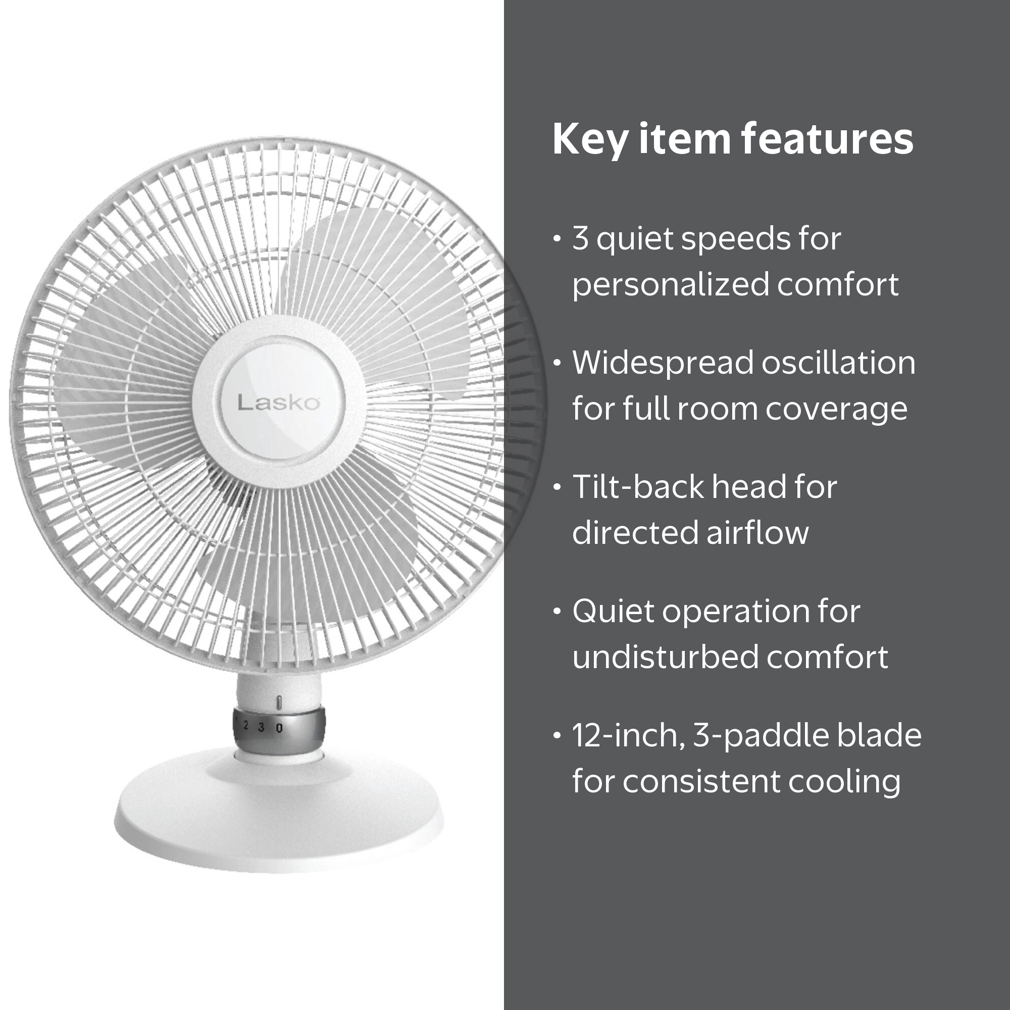 Lasko D12225, 12
