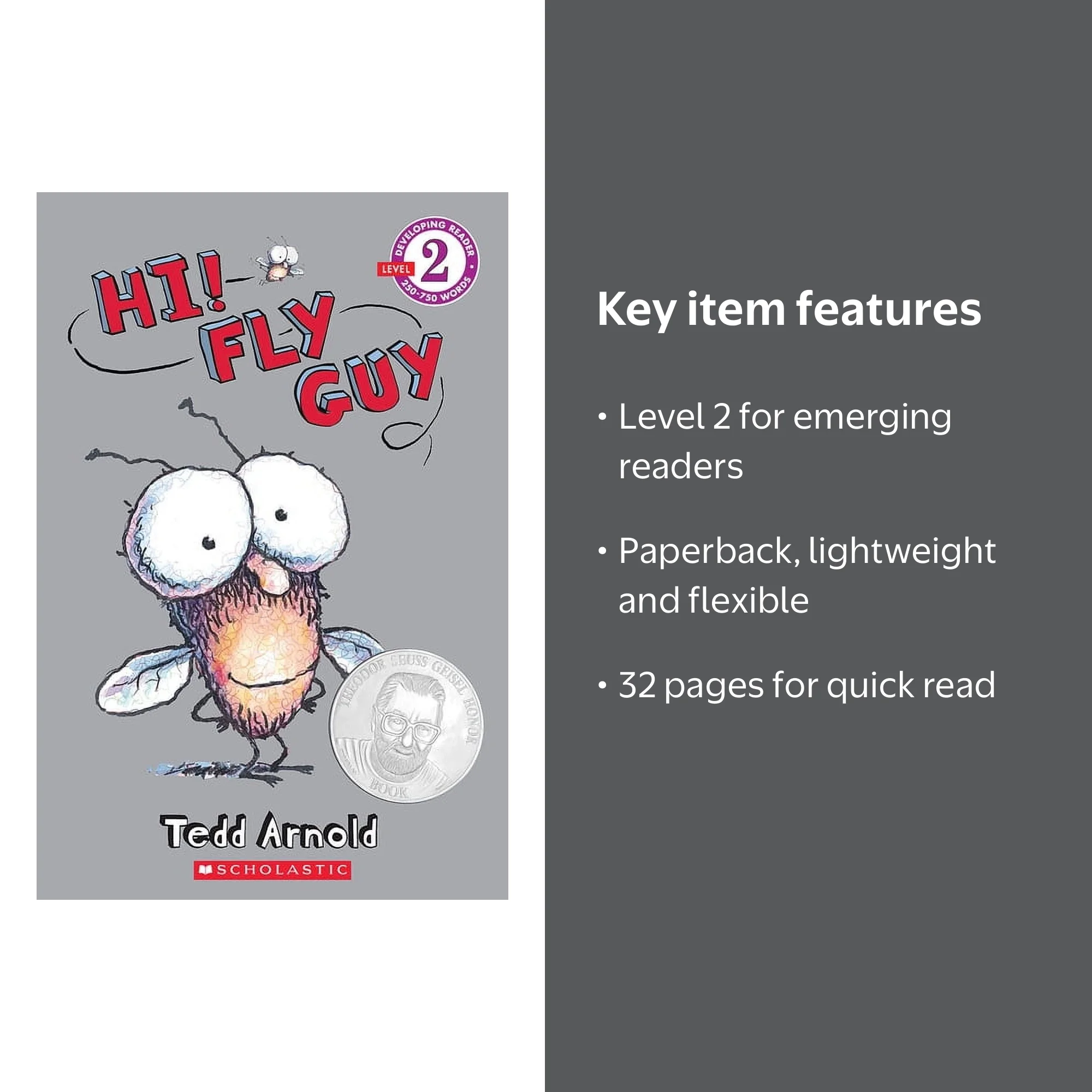Tedd Arnold, Scholastic Reader, Level 2 Hi Fly Guy, Paperback