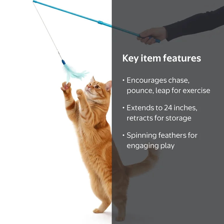 SmartyKat, Interactive Cat Toy, Frisky Flyer with Extendable Wand