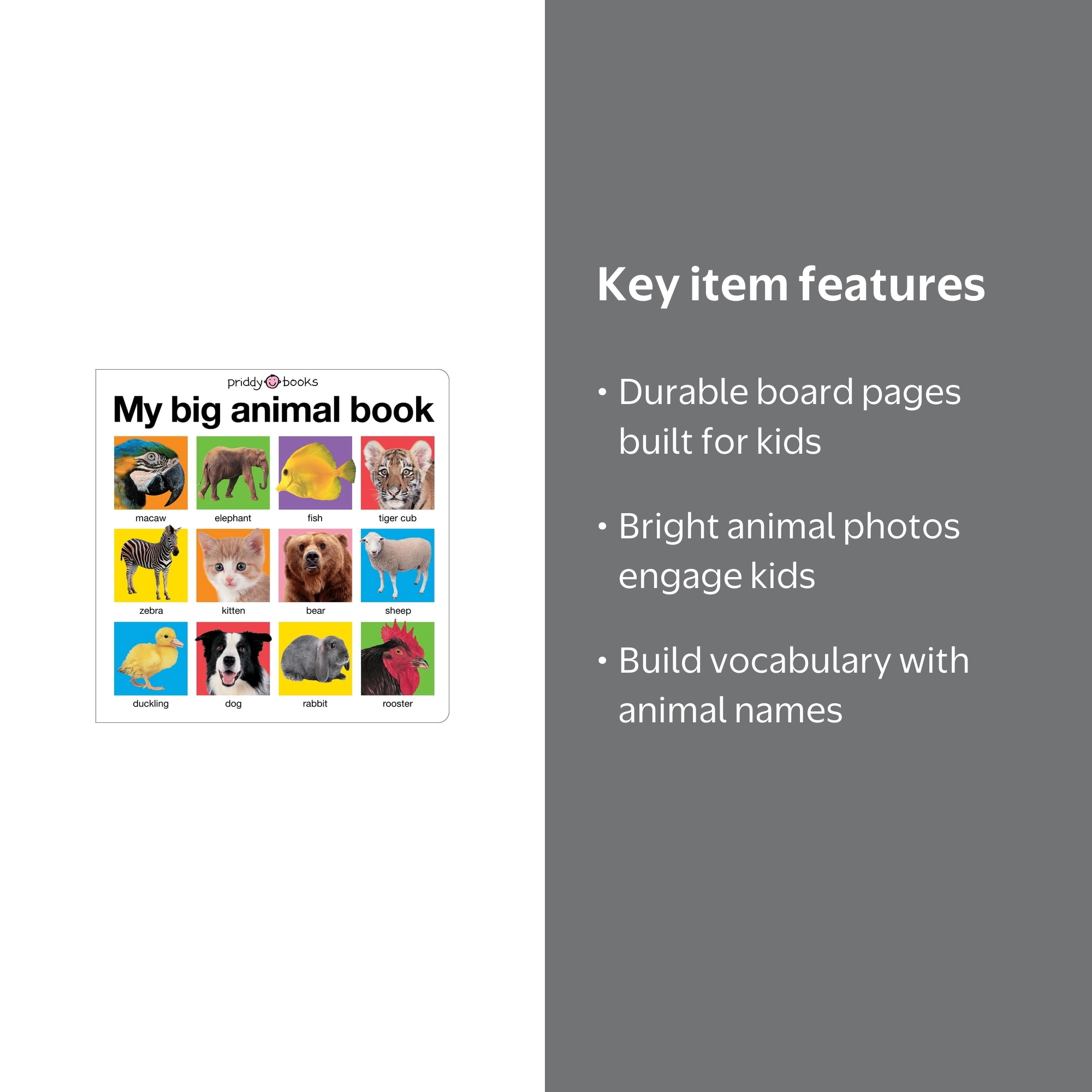 My Big Animal Book - Walmart.com