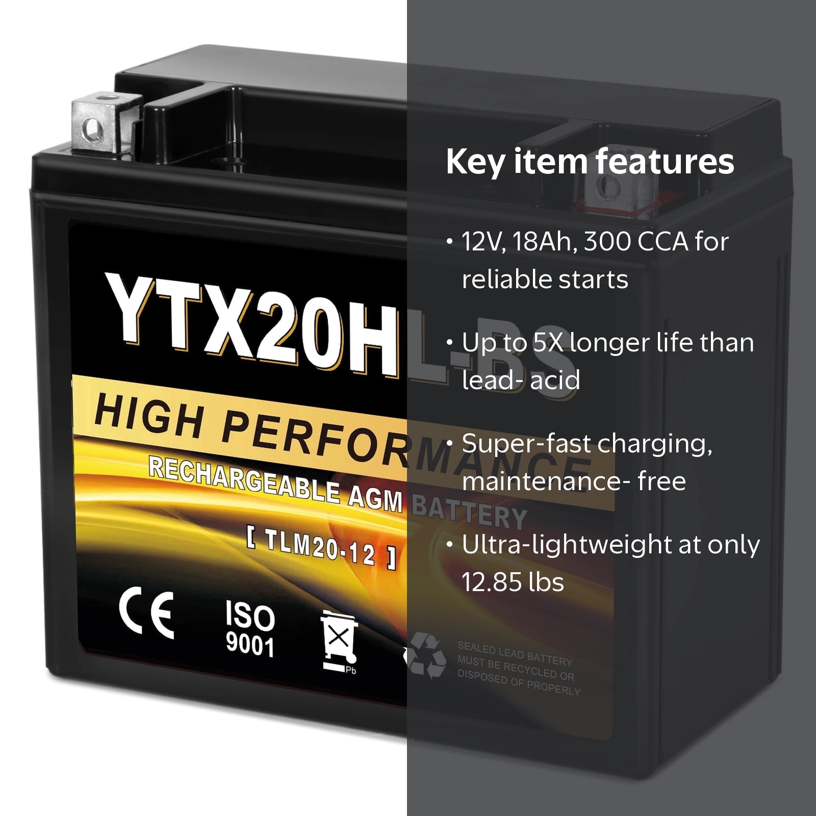 ANLIBATT, Motorcycle Battery, YTX20HL-BS, 12V, 18Ah, 300 CCA