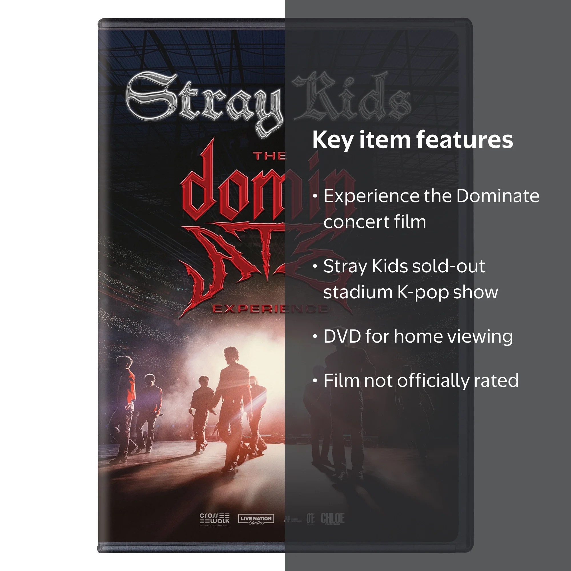 Stray Kids: The Dominate Experience (DVD) Bleecker Street Media