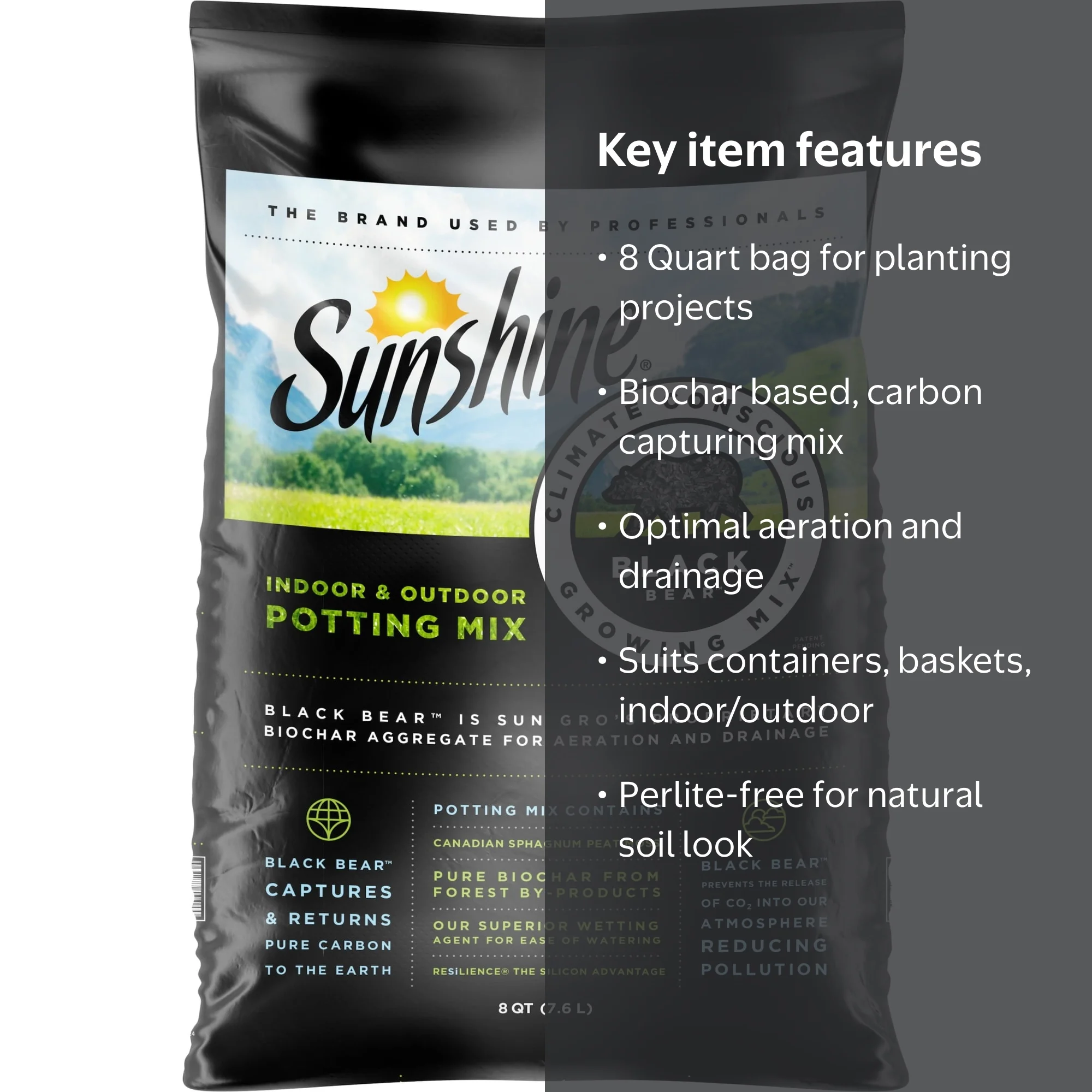 Sunshine Black Bear Indoor Climate Conscious Indoor Outdoor