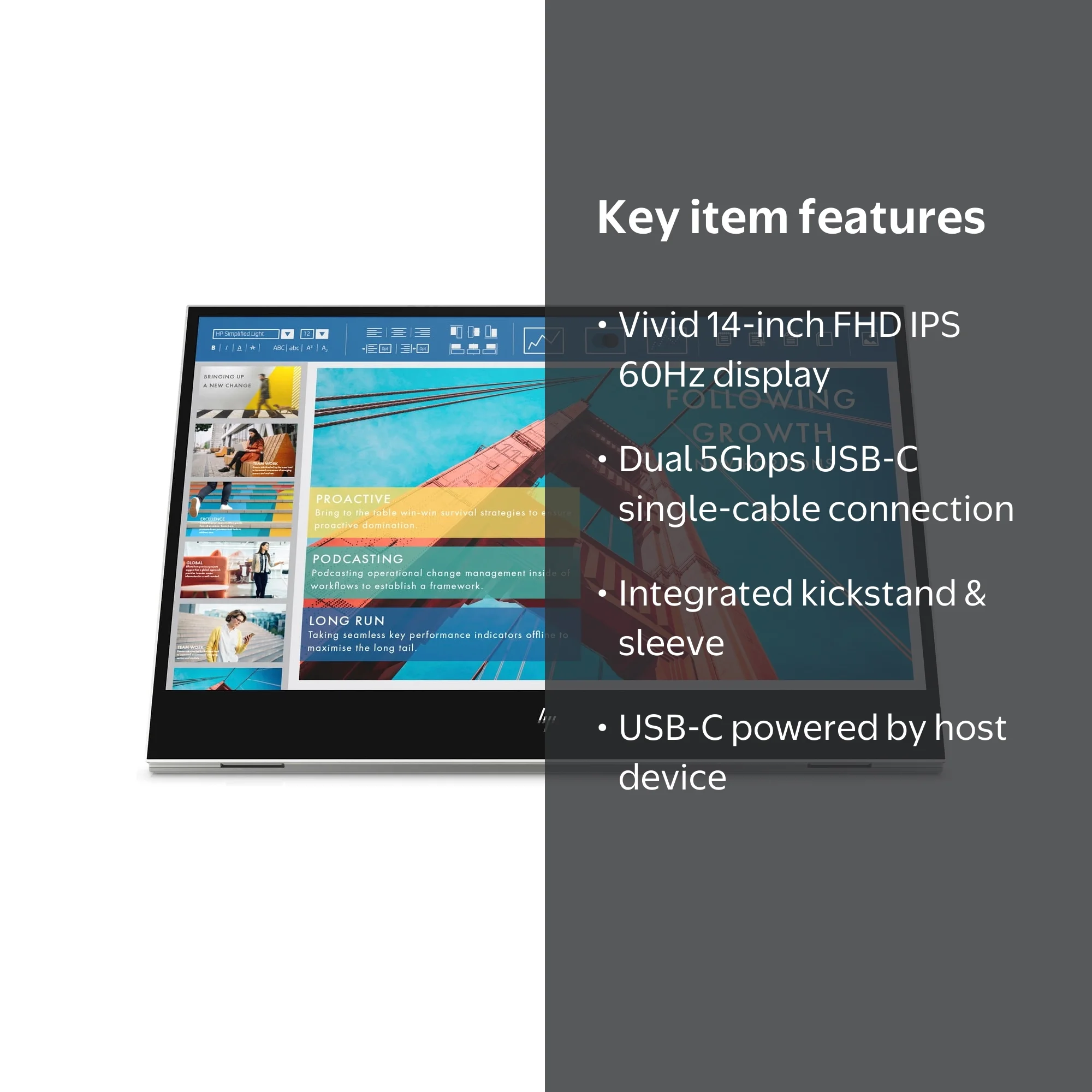 HP E14 G4 Portable Monitor 14