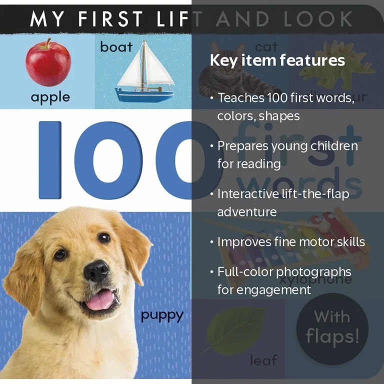 100 First Words: My First Lift and Look (with Flaps) (Board Book