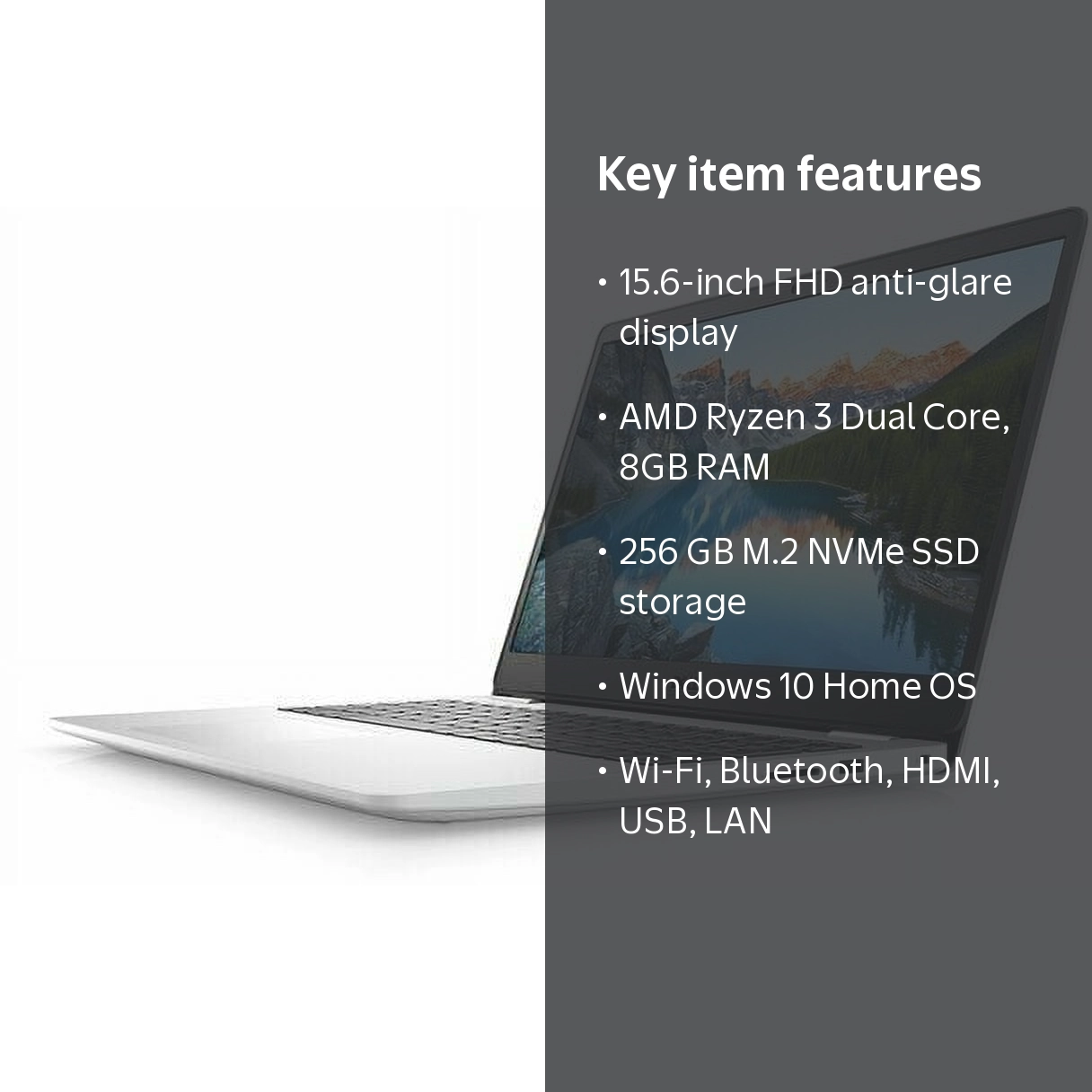 Dell Inspiron 3505 15.6