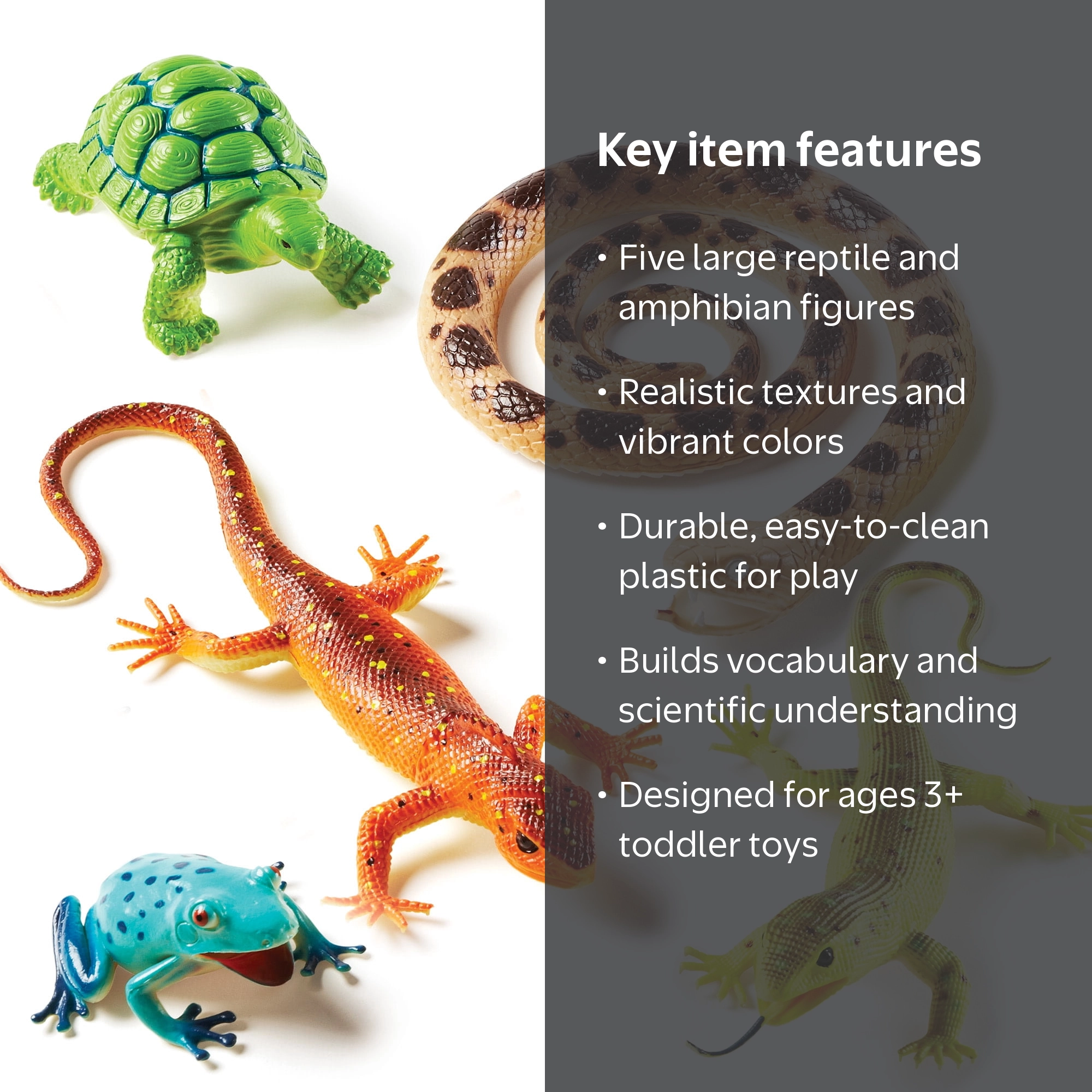 Free Shipping! Learning Resources - Jumbo Reptiles & Amphibians