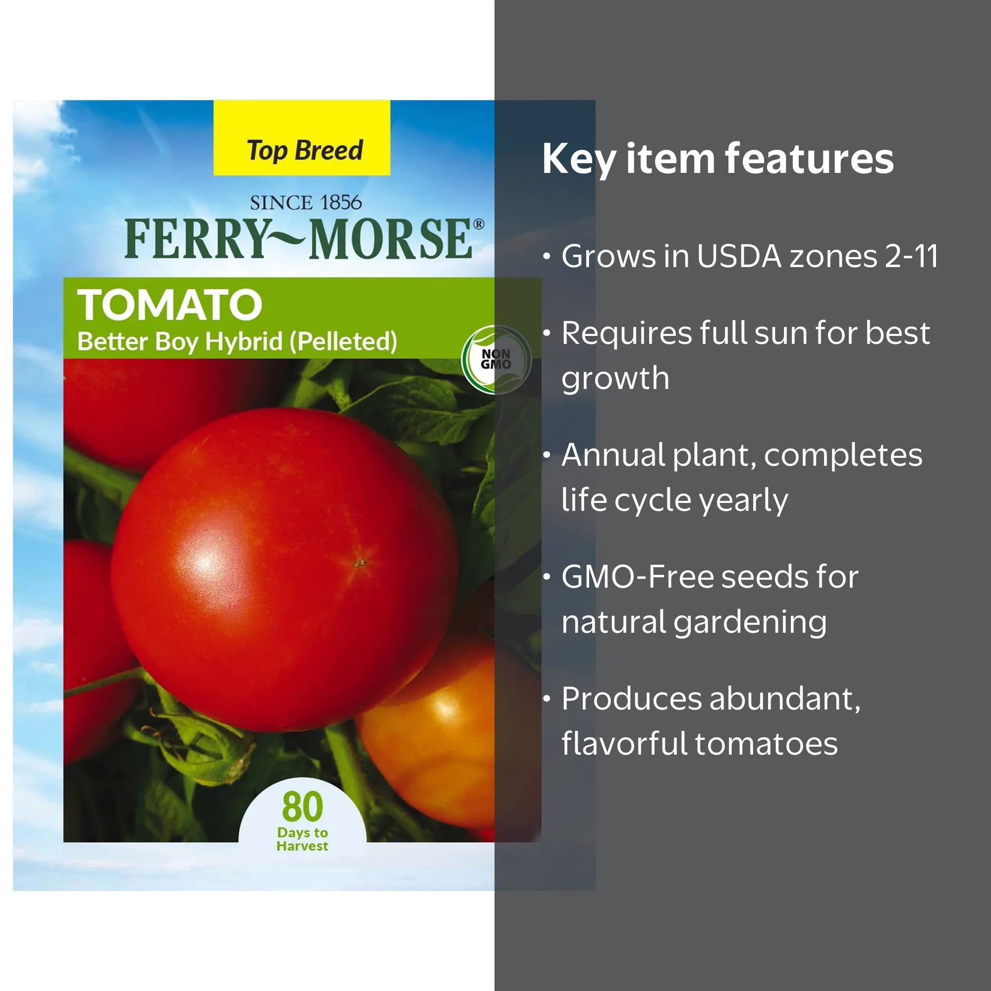 Ferry-Morse 15 PS Tomato Better Boy Hybrid Annual Vegetable Seeds, Full Sun  - Walmart.com