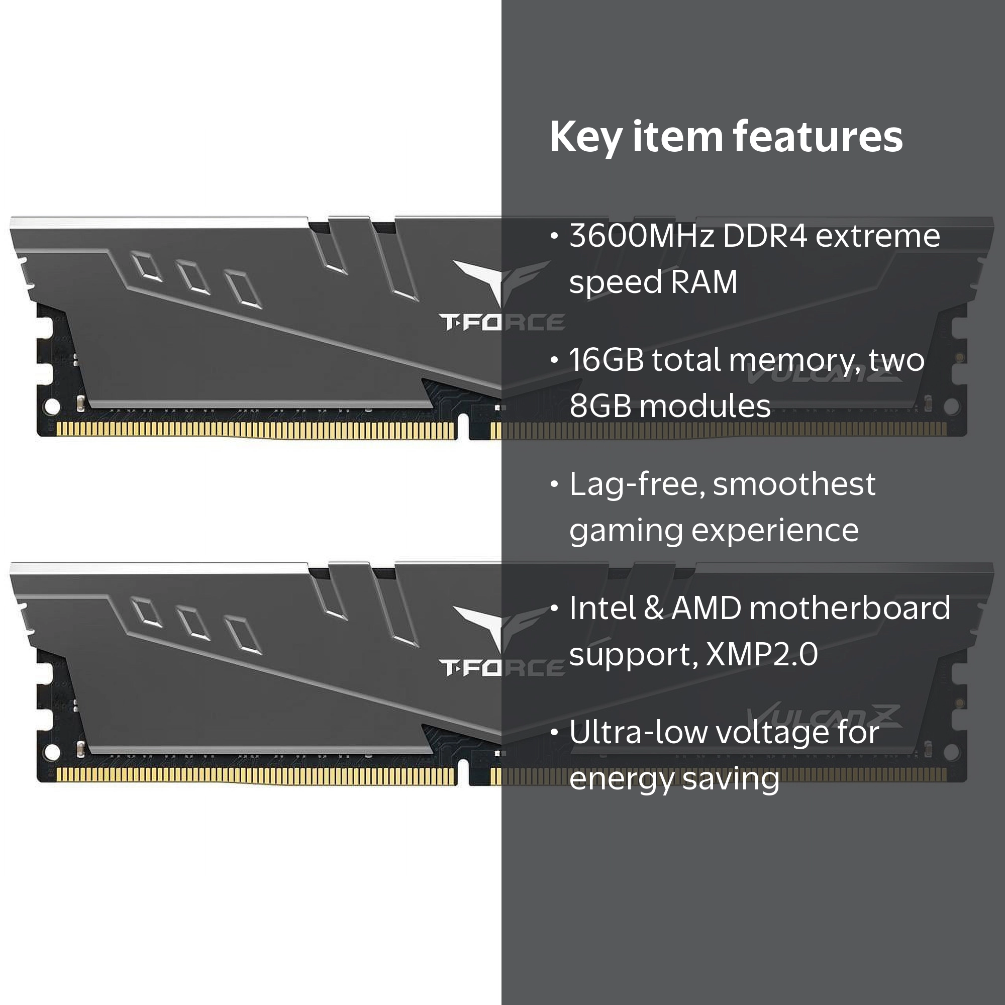 TEAMGROUP, Memory RAM, TLZGD416G3600HC18JDC01, Multicolor