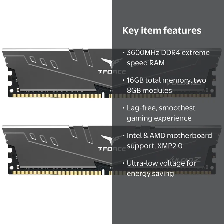 TEAMGROUP, Memory RAM, TLZGD416G3600HC18JDC01, Multicolor