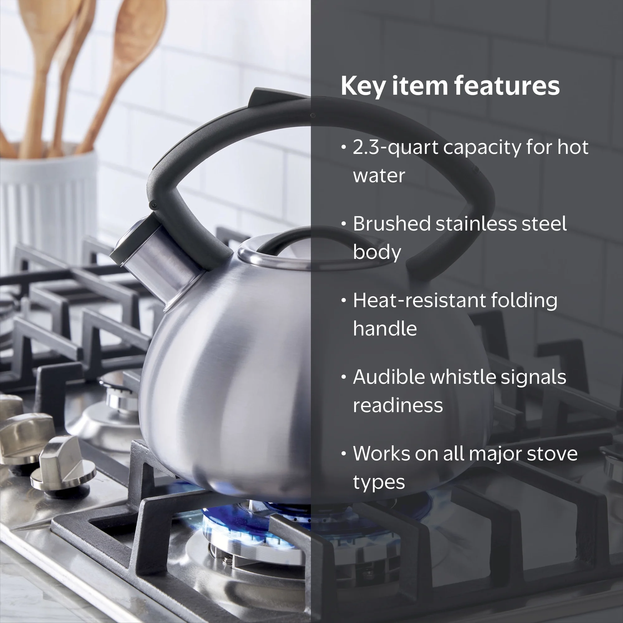 Copco 2.3-quart Valencia Brushed Stainless Steel Tea Kettle