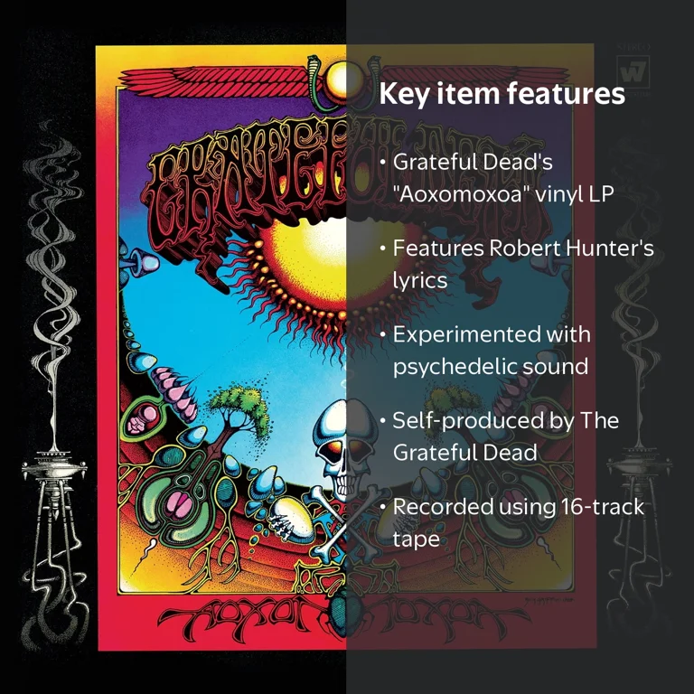 Grateful Dead - Aoxomoxoa - Music & Performance - Vinyl - Walmart.com
