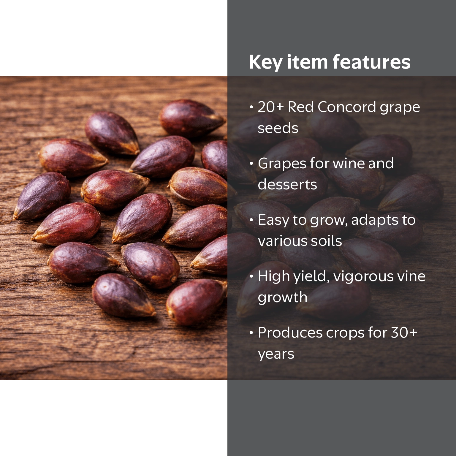 CZ Grain, Red Concord Grape Seeds, 20+ seeds, Grow Grape Vines