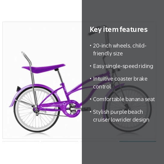 Wonder Wheels 20 In. Beach Cruiser Lowrider Coaster Brake Single