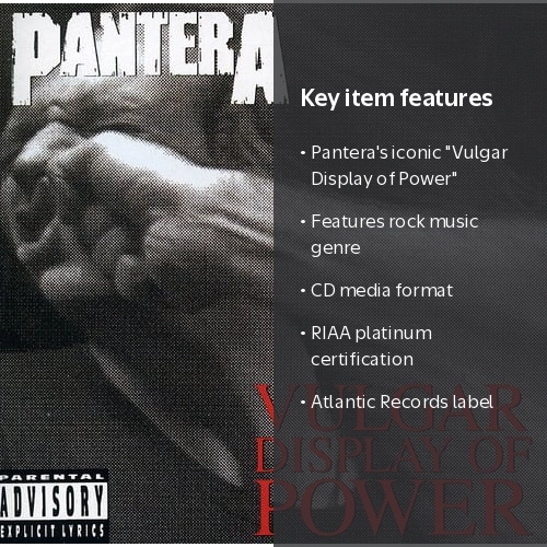 Pantera Vulgar Display Of Power レコード k2-_bfd05d68-8a42-4d75-85c6-